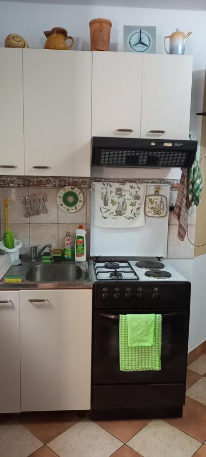 Apartmani Kunjasic Trstenik  Zewnętrze zdjęcie